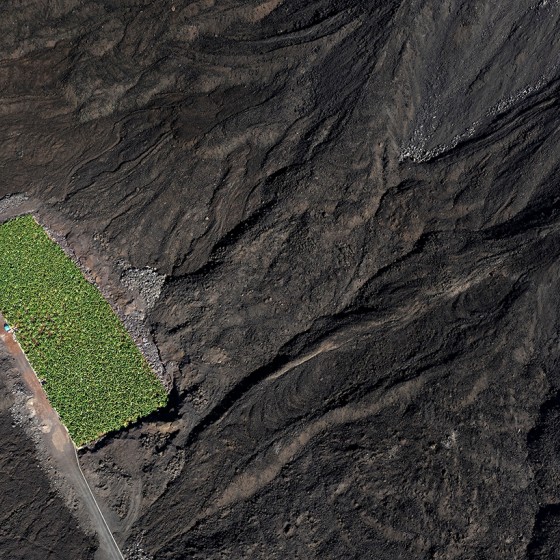 Luz entre las cenizas, de Félix Capote.jpg